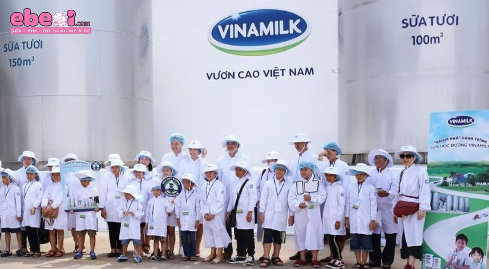 Nguồn gốc xuất xứ của sữa Yoko Gold 1