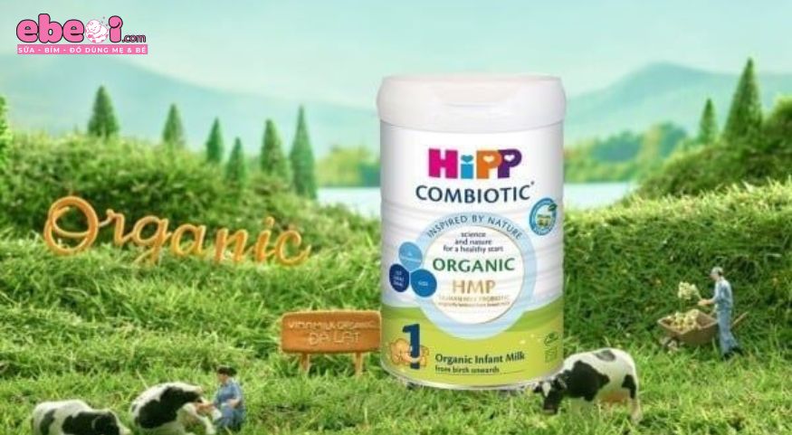 Sữa HiPP cho trẻ sơ sinh có tốt không? Có mấy loại giá bao nhiêu? 5 Công thức Organic siêu sạch chuẩn Châu Âu