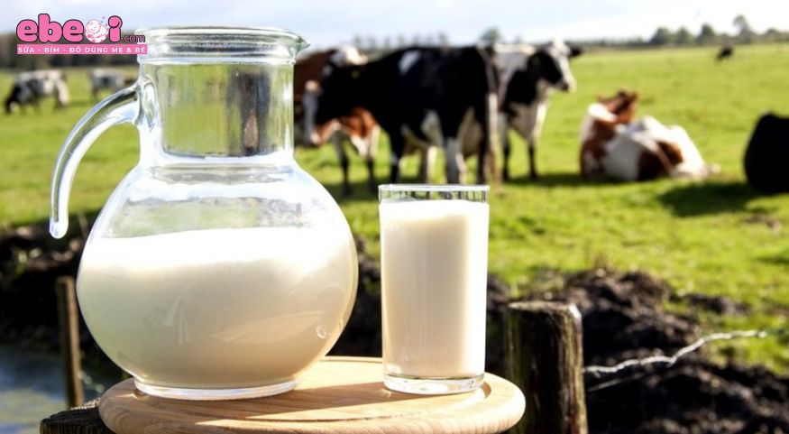 Sữa Vinamilk là sữa tiệt trùng hay thanh trùng?