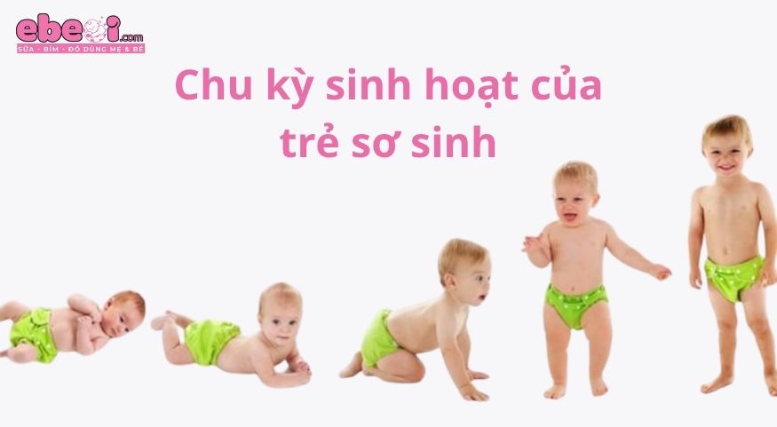 Hiểu rõ về chu kỳ sinh hoạt của trẻ sơ sinh